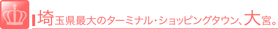 埼玉県最大のターミナル・ショッピングタウン、大宮。
