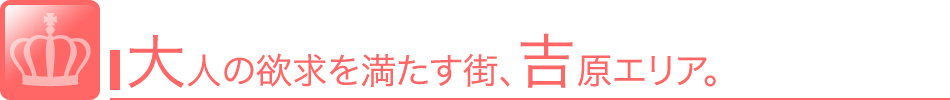 大人の欲求を満たす街、吉原風俗 求人。